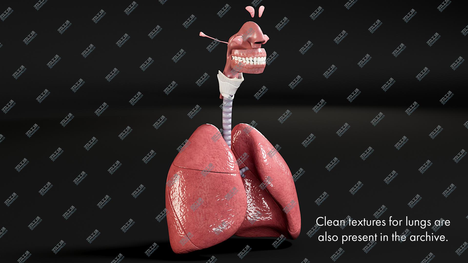 images/goods_img/20210114/Tiger Rigged Maya 3D model/4.jpg